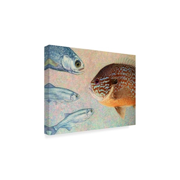 James W. Johnson 'Moon Eyes Sunfish' Canvas Art,35x47